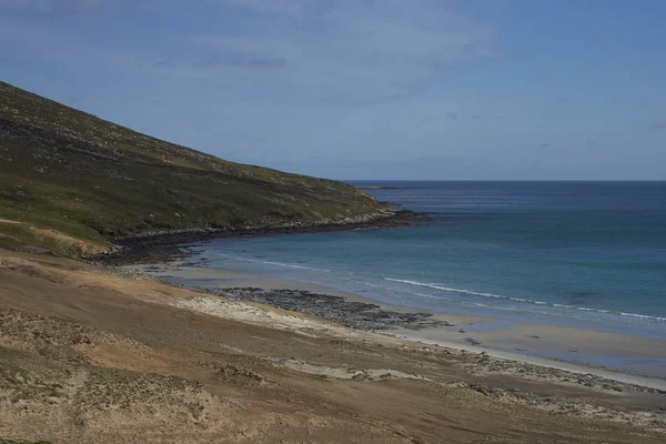 Pescoço Ilha Saunders Nas Ilhas Malvinas Lar Várias Colônias Pinguins — Fotografia de Stock