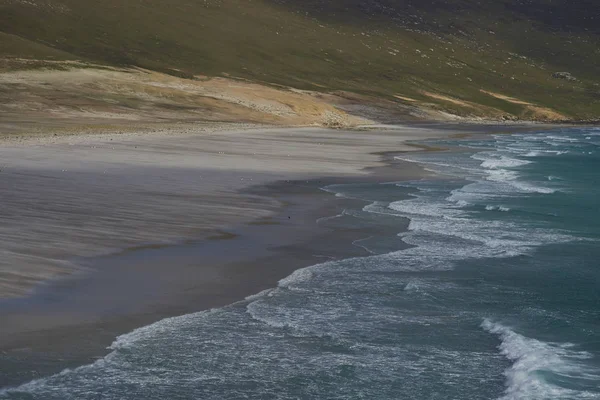 Malownicze Ujęcie Pięknego Wybrzeża Falklandy — Zdjęcie stockowe