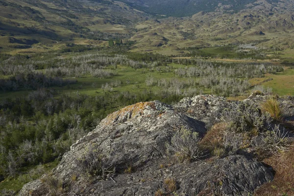 Paesaggio Della Valle Chacabuco Nella Patagonia Settentrionale Cile — Foto Stock