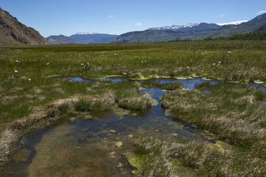 Sulak Valle Chacabuco Kuzey Patagonia, Şili'deki taban boyunca