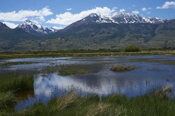 Zone Umide Lungo Base Della Valle Chacabuco Nella Patagonia Settentrionale — Foto Stock