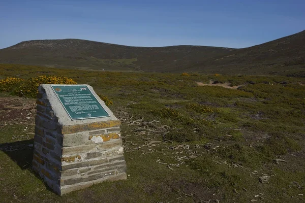 Bağlantı Noktası Egmont Saunders Adası Falkland Adaları Ekim 2017 Birleşik — Stok fotoğraf
