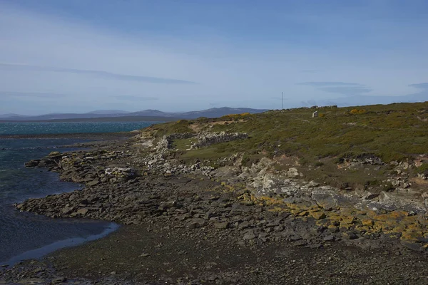 Pozůstatky Historického Osídlení Přístavu Egmont Falklandských Ostrovech Pocházející Roku 1765 — Stock fotografie