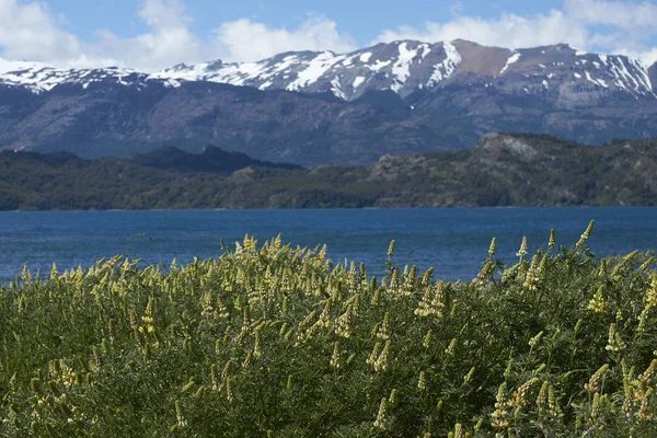 Γραφικό Τοπίο Γύρω Από Γενικό Lago Carrera Στο Βόρειο Παταγονία — Φωτογραφία Αρχείου