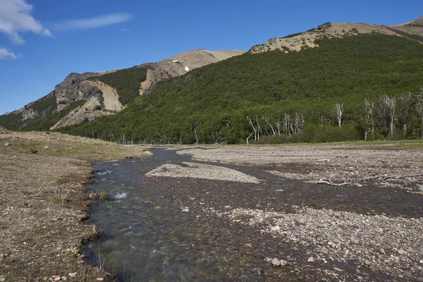 Ρηχό Ποτάμι Που Τρέχει Παράλληλα Carretera Austral Καθώς Περνά Μέσω — Φωτογραφία Αρχείου