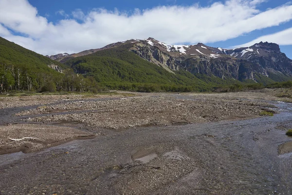 Rio Raso Correndo Lado Carretera Austral Enquanto Passa Pela Reserva — Fotografia de Stock