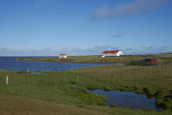 Farm buildings at the settlement on the coast of Bleaker Island in the Falkland Islands