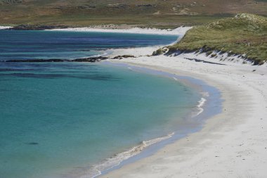 Falkland Adaları 'ndaki Leopar Sahili' nin beyaz kumları ve mavi suları.