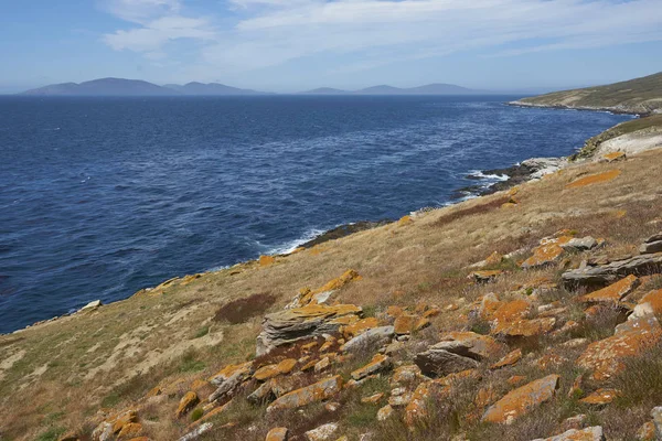 Скалистое Северное Побережье Острова Каркасс Фолклендских Островах — стоковое фото