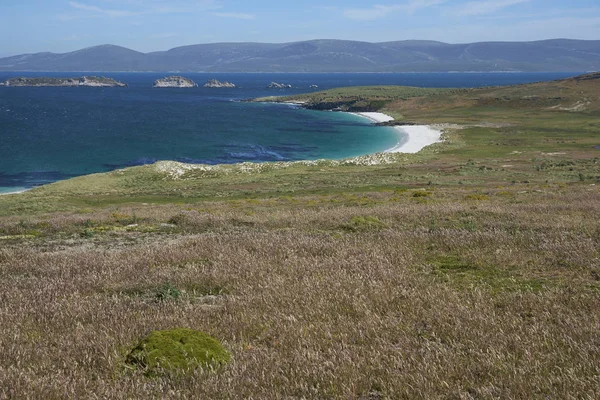 Белые Пески Голубые Воды Пляжа Леопард Острове Каркас Фолклендских Островах — стоковое фото