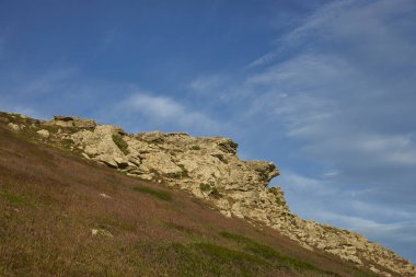 Falkland Adaları'Carcass adasının merkezi bölgede kayalık fosillerini                               