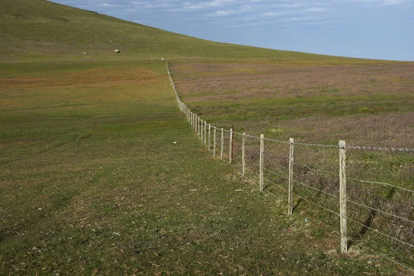 在福克兰群岛的屠体岛上穿过牧场的围栏 — 图库照片