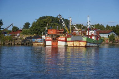 Valdivia, Şili - 29 Ocak 2018: Valdivia güney Şili'deki sahildeki demirleyen renkli balıkçı tekneleri.