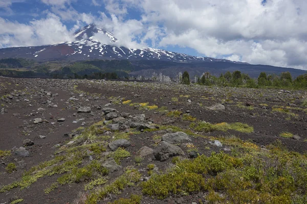 Vulkanen Llaima 3125 Meter Stiger Ovanför Lavafält Och Skogar Conguillio — Stockfoto