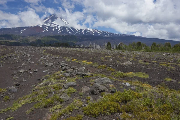 Volcán Llaima 3125 Metros Elevándose Por Encima Los Campos Lava — Foto de Stock