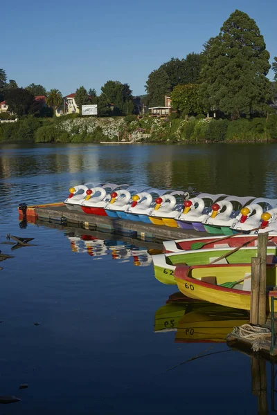 Valdivia Chile 2018 Január Színes Sétahajók Kikötve Valdivia Chile Déli — Stock Fotó