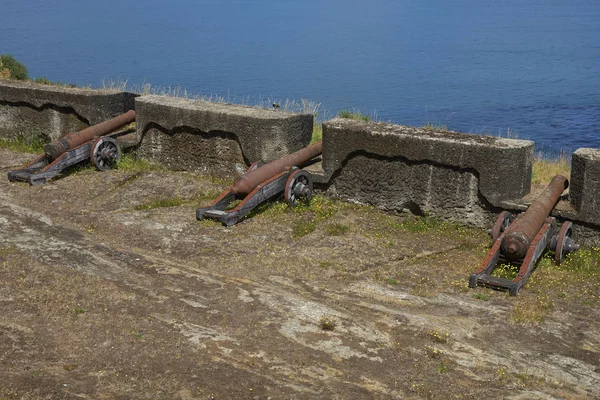 Valdivia Chile Januari 2018 Gamla Kanonen Bröstvärnet Historiska Niebla Fortet — Stockfoto
