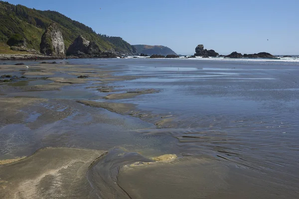 Avlägsen Stranden Vid Pilolcura Stillahavskusten Södra Chile Nära Valdivia — Stockfoto