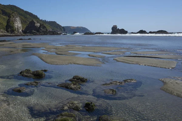 Avlägsen Stranden Vid Pilolcura Stillahavskusten Södra Chile Nära Valdivia — Stockfoto