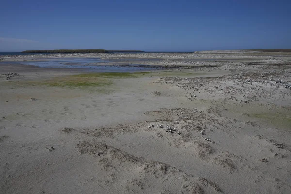 Coastal Landscape Bleaker Island Falkland Islands — Stock Photo, Image