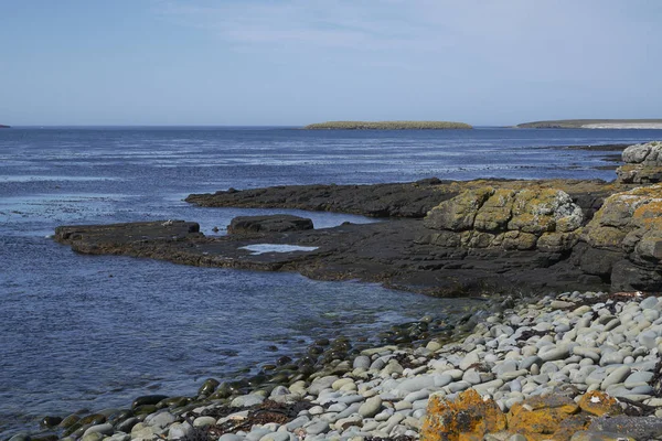 Kustlandschap Van Bleaker Island Falklandeilanden — Stockfoto