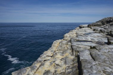 Falkland Adaları 'ndaki Deniz Aslanı Adası uçurumlarındaki Rockhopper Penguenleri Kolonisi (Eudyptes chrysocome)