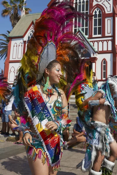 阿里卡 2017 女性的华丽服装表演 在每年的狂欢节安迪 Con 拉阿里卡 智利中部电力公司 Del Sol 田雅各舞蹈组成员 — 图库照片