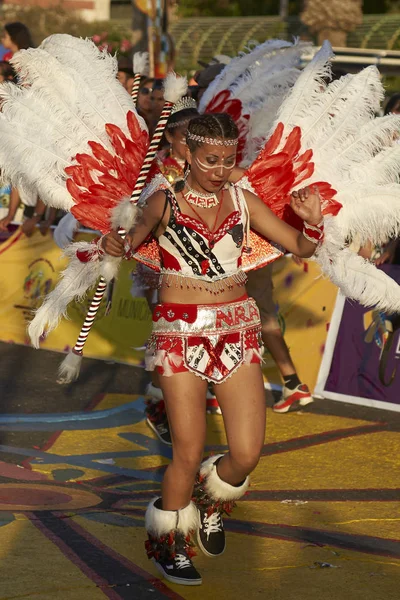 阿里卡 2017 女性的华丽服装表演 在每年的狂欢节安迪 Con 拉阿里卡 智利中部电力公司 Del Sol 田雅各舞蹈组成员 — 图库照片