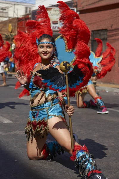 华丽的服装表演 在每年的狂欢节安迪 Con 拉阿里卡 智利中部电力公司 Del Sol 的阿里卡 2017 田雅各舞者 — 图库照片