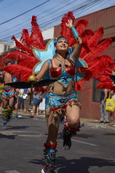 华丽的服装表演 在每年的狂欢节安迪 Con 拉阿里卡 智利中部电力公司 Del Sol 的阿里卡 2017 田雅各舞者 — 图库照片