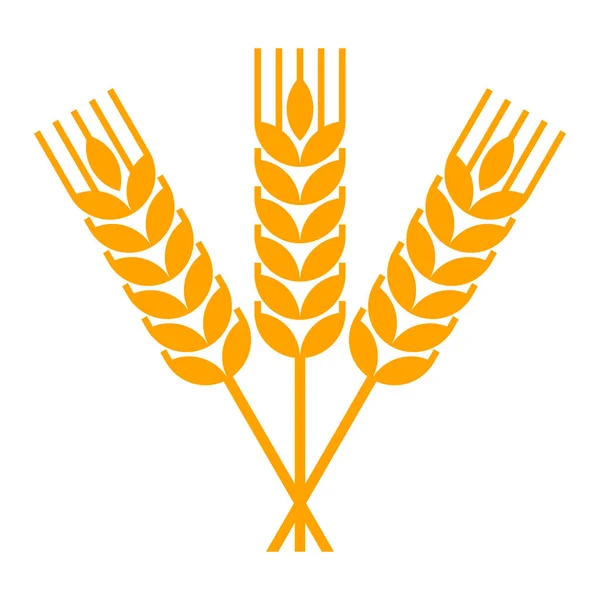 Hruška s rytím pšenice — Stockový vektor