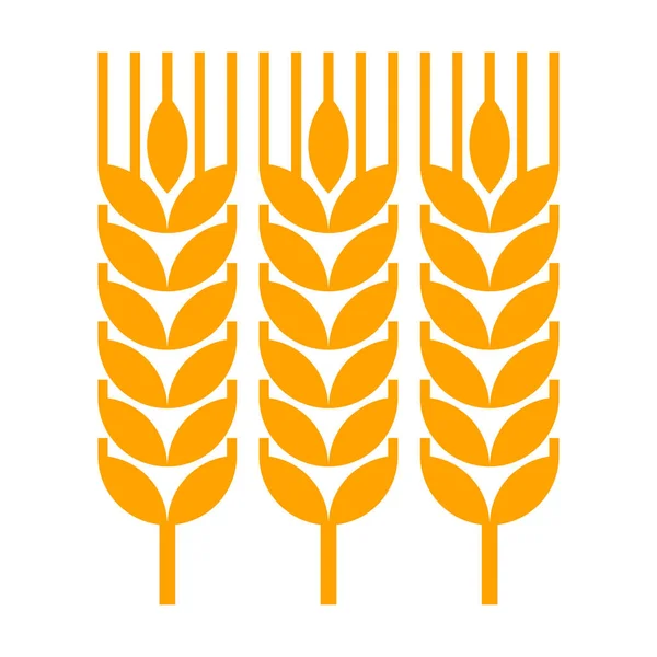 Ikona pšeničného ucha — Stockový vektor