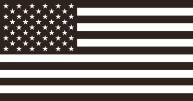 Flag of the United States. The American flag