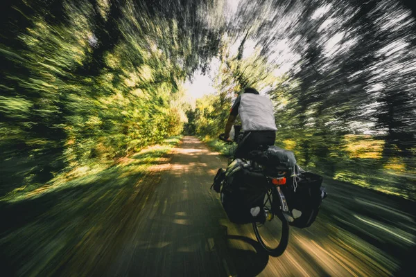 Bir orman yolu üzerinden hareket içinde erkek bir bisikletçi resmini