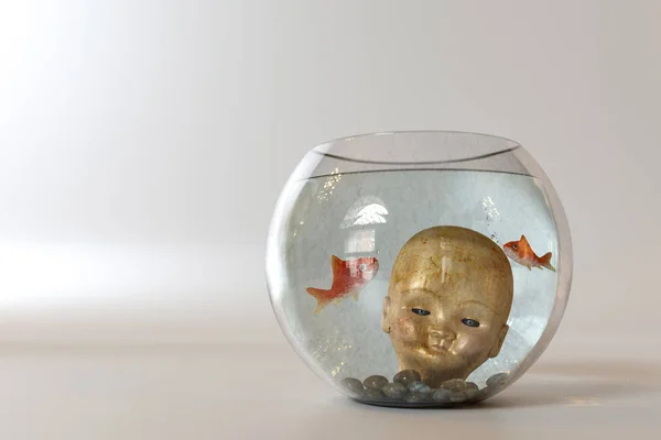 Cabeça de boneca em um aquário isolado no fundo branco — Fotografia de Stock