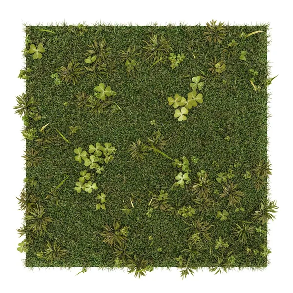 Illustration 3D d'une tranche d'herbe carrée isolée sur fond blanc — Photo