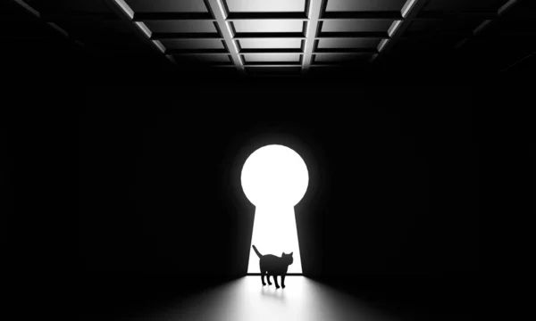 Quarto escuro com uma porta em forma de chave — Fotografia de Stock