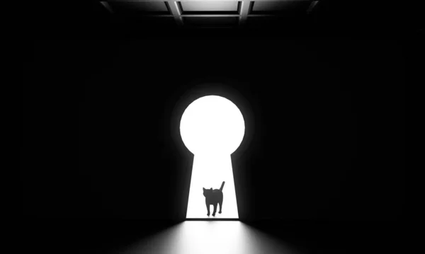 Dark room with a shaped key door — Stockfoto