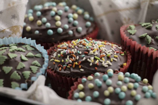 Close-up of cupcakes with chocolate icing and sugar decorations — Stock Photo, Image