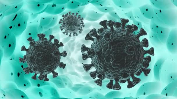 Un coronavirus moviéndose dentro del cuerpo. Looped vídeo de alta calidad . — Vídeos de Stock