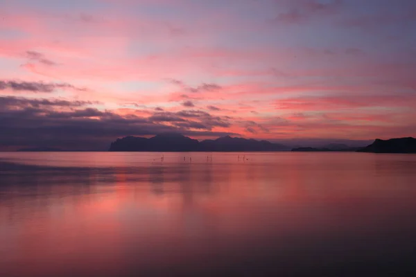 Calm pink sea — Stock Photo, Image