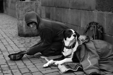 Bir sokak dilenci acıma hissi için onun evde beslenen hayvan neden olur ve turistler üzerinde para kazanır. Çek Cumhuriyeti. Prag. Charles Köprüsü.