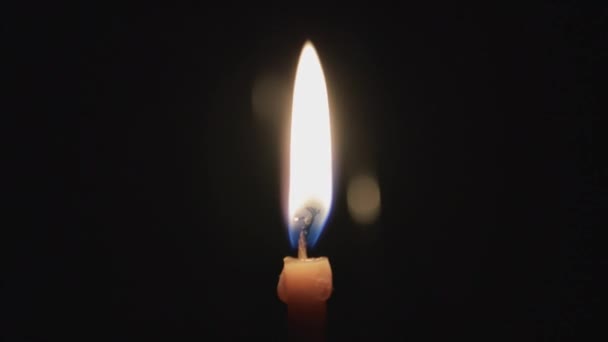 Die Kerze Brennt Auf Dem Dunklen Hintergrund Retter Des Apfelfestes — Stockvideo
