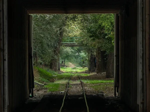 Ferrocarril Estrecho Bosque Vista Desde Túnel Cuadrado —  Fotos de Stock