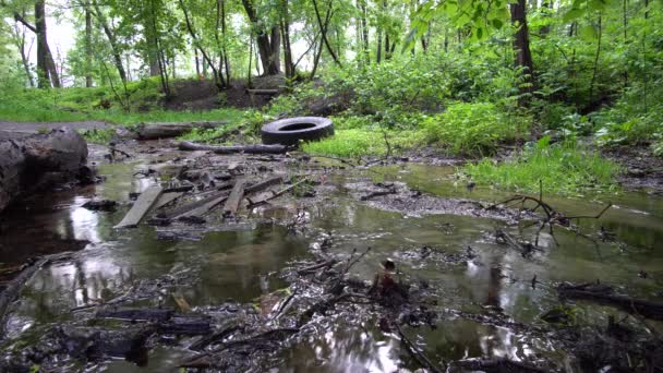 家庭の廃棄物で汚染された小さな森林ストリーム — ストック動画