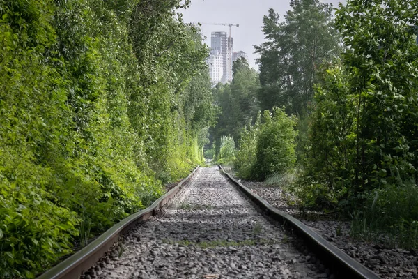 Natürlicher Tunnel Mit Eisenbahnstraße Durch Bäume Geformt — Stockfoto