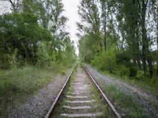 Cavalcando Una Linea Ferroviaria Abbandonata Nella Foresta — Video Stock