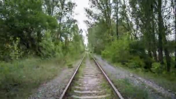 Cavalcando Una Linea Ferroviaria Abbandonata Nella Foresta — Video Stock