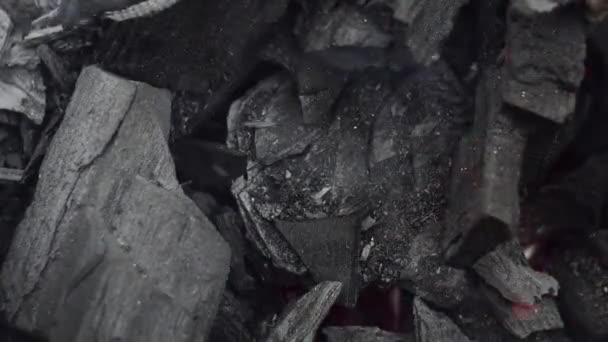 Κοντινό Πλάνο Της Καύσης Κάρβουνου Στο Μπάρμπεκιου — Αρχείο Βίντεο