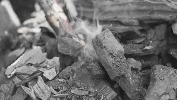 Palenie Węgla Drzewnego Zwolnionym Tempie Zbliżenie — Wideo stockowe